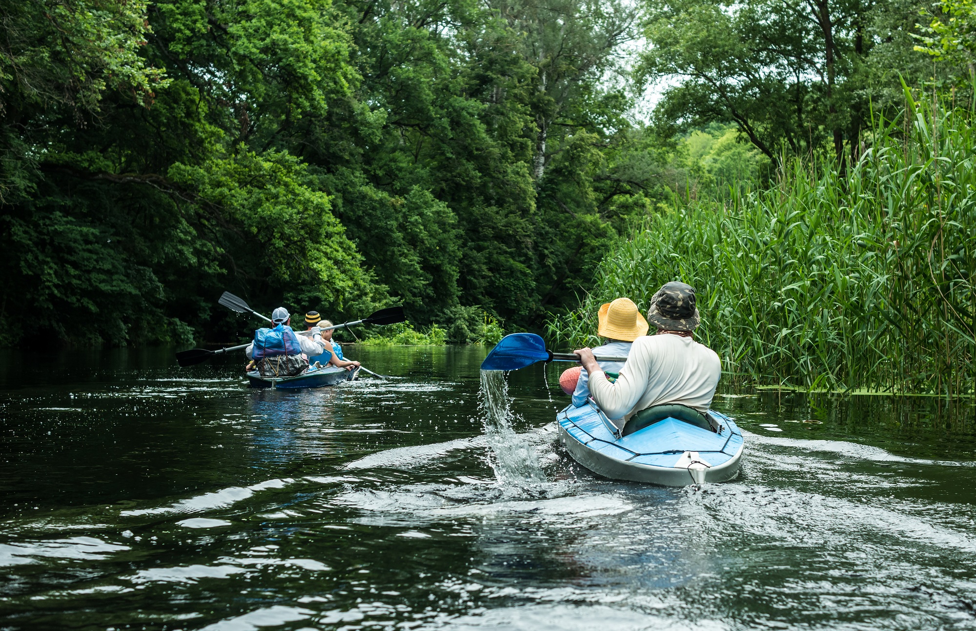 Canoë dans la forêt